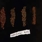 szecsuáni-bors-vörös-pirított-zöld-por IMG_5575