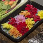 saliverzum-dalia-img_0153