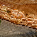rakott-fül-DSC03262