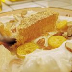 lepesmez-joghurt-2020-01-15-20.53
