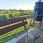 jasdi-csopak-IMG_20200826_180729