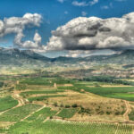 Vista_de_La_Rioja_desde_Briones_Emilio García from Parla