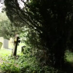 body-snatchers-docu-corpse-and-effect